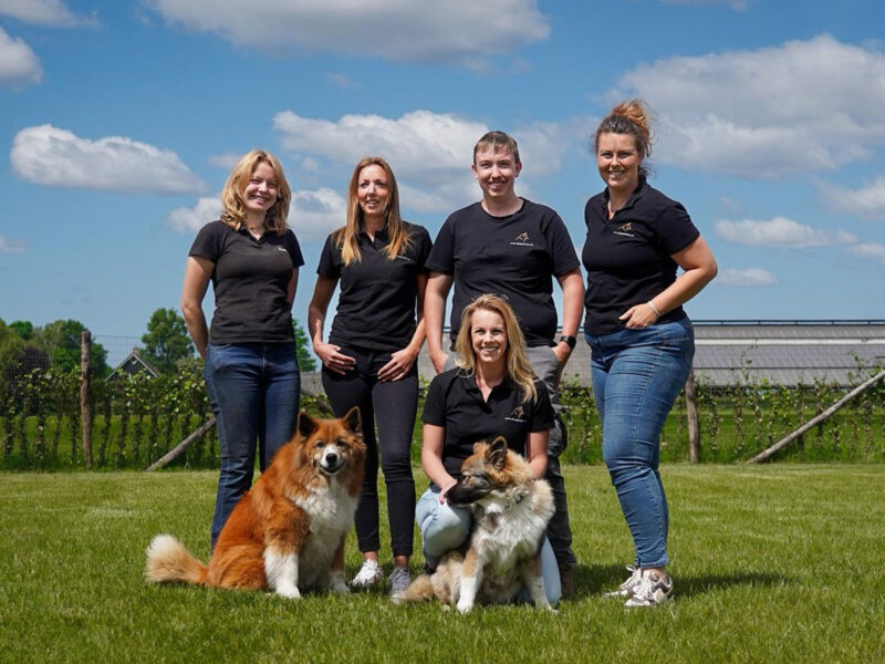 DogMission team